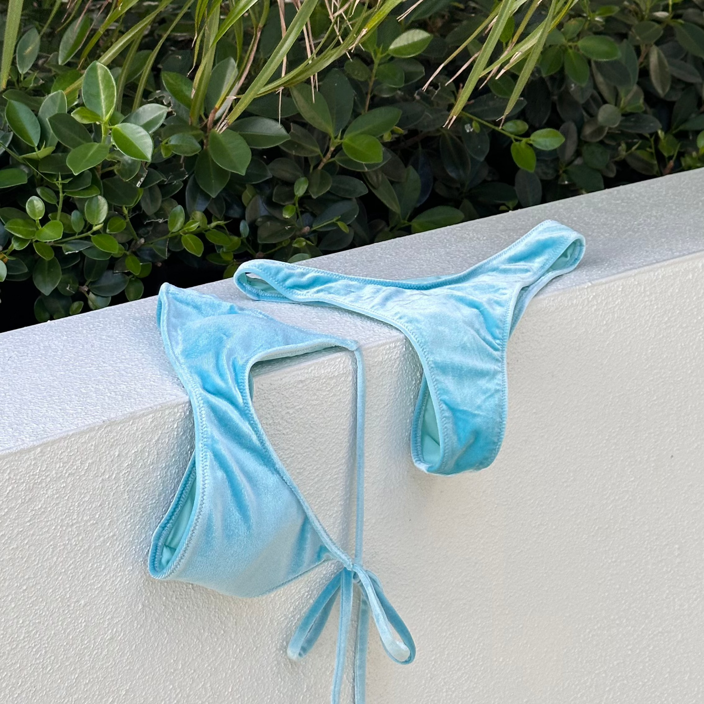 Dolphin Bikini